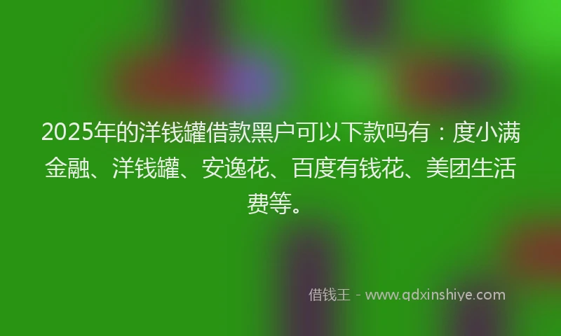 2025年的洋钱罐借款黑户可以下款吗有：度小满金融、洋钱罐、安逸花、百度有钱花、美团生活费等。