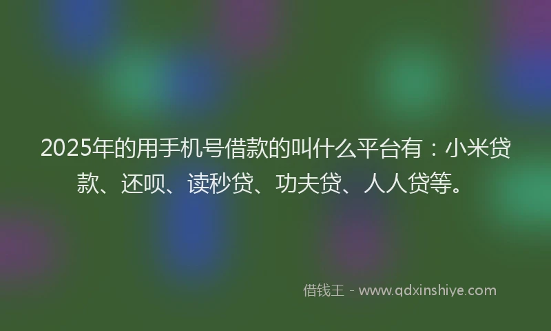 2025年的用手机号借款的叫什么平台有：小米贷款、还呗、读秒贷、功夫贷、人人贷等。