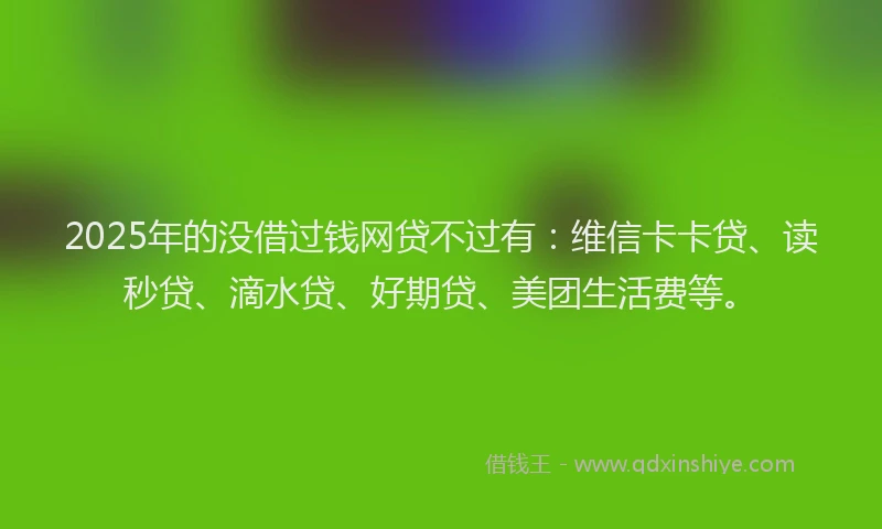 2025年的没借过钱网贷不过有：维信卡卡贷、读秒贷、滴水贷、好期贷、美团生活费等。