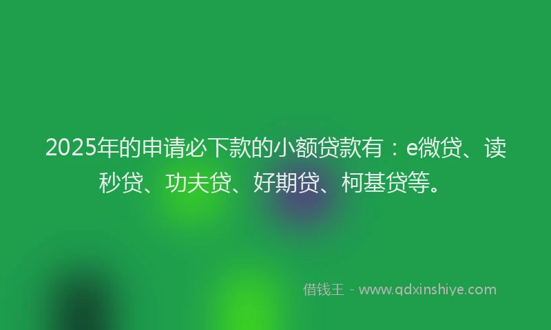 2025年的申请必下款的小额贷款有：e微贷、读秒贷、功夫贷、好期贷、柯基贷等。