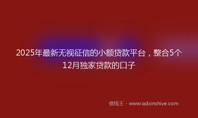 2025年最新无视征信的小额贷款平台，整合5个12月独家贷款的口子