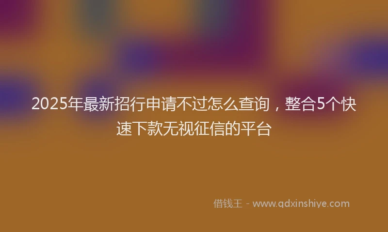 2025年最新招行申请不过怎么查询，整合5个快速下款无视征信的平台