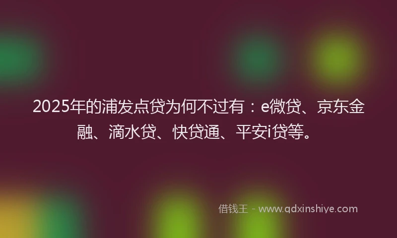 2025年的浦发点贷为何不过有：e微贷、京东金融、滴水贷、快贷通、平安i贷等。