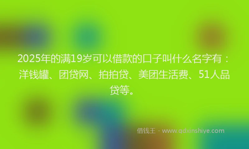 2025年的满19岁可以借款的口子叫什么名字有：洋钱罐、团贷网、拍拍贷、美团生活费、51人品贷等。