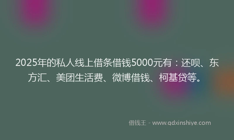 2025年的私人线上借条借钱5000元有：还呗、东方汇、美团生活费、微博借钱、柯基贷等。