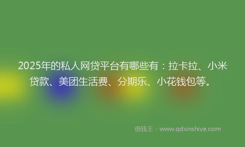 2025年的私人网贷平台有哪些有：拉卡拉、小米贷款、美团生活费、分期乐、小花钱包等。