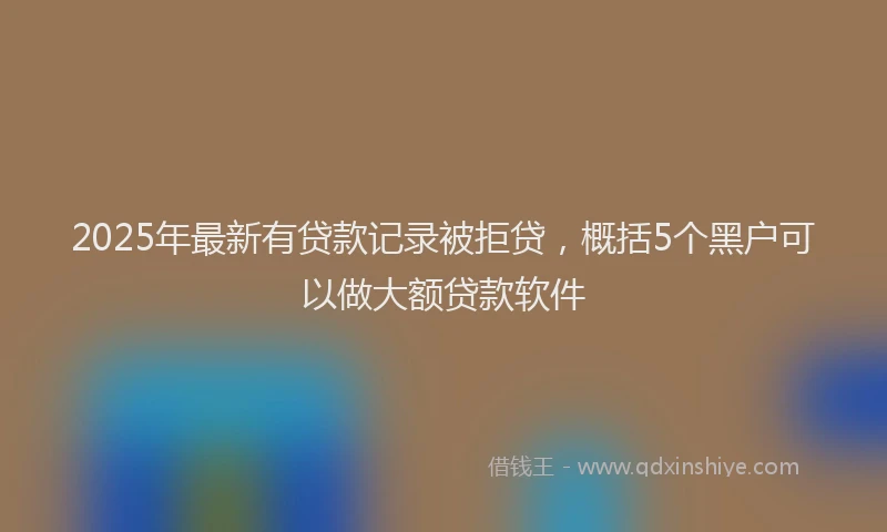2025年最新有贷款记录被拒贷，概括5个黑户可以做大额贷款软件