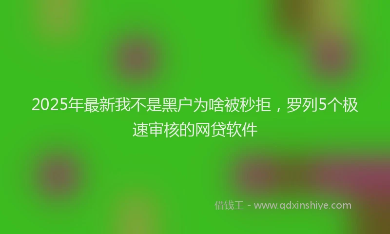 2025年最新我不是黑户为啥被秒拒，罗列5个极速审核的网贷软件