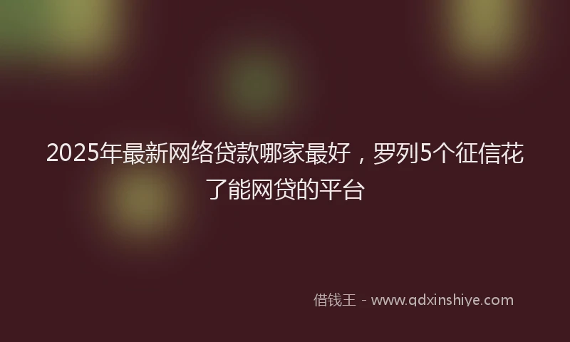2025年最新网络贷款哪家最好，罗列5个征信花了能网贷的平台