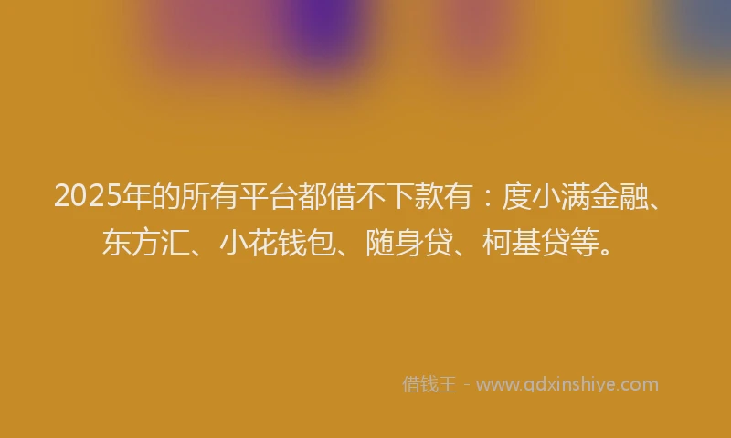2025年的所有平台都借不下款有：度小满金融、东方汇、小花钱包、随身贷、柯基贷等。
