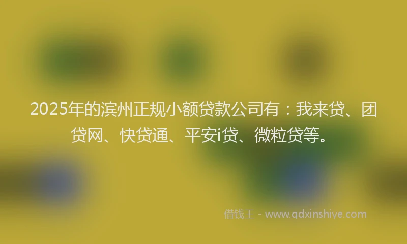 2025年的滨州正规小额贷款公司有：我来贷、团贷网、快贷通、平安i贷、微粒贷等。