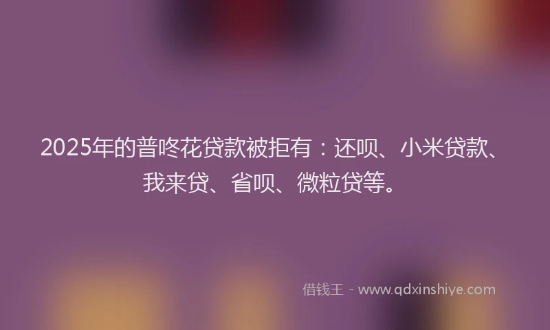 2025年的普咚花贷款被拒有：还呗、小米贷款、我来贷、省呗、微粒贷等。