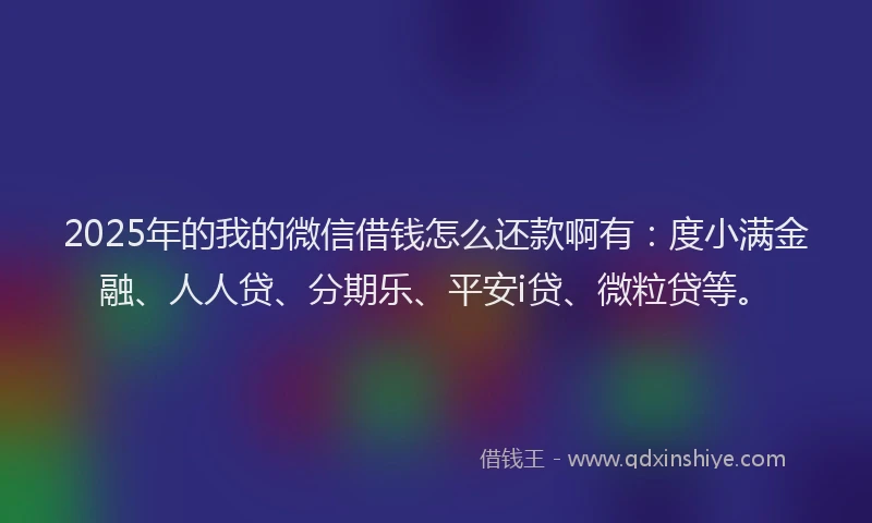 2025年的我的微信借钱怎么还款啊有：度小满金融、人人贷、分期乐、平安i贷、微粒贷等。