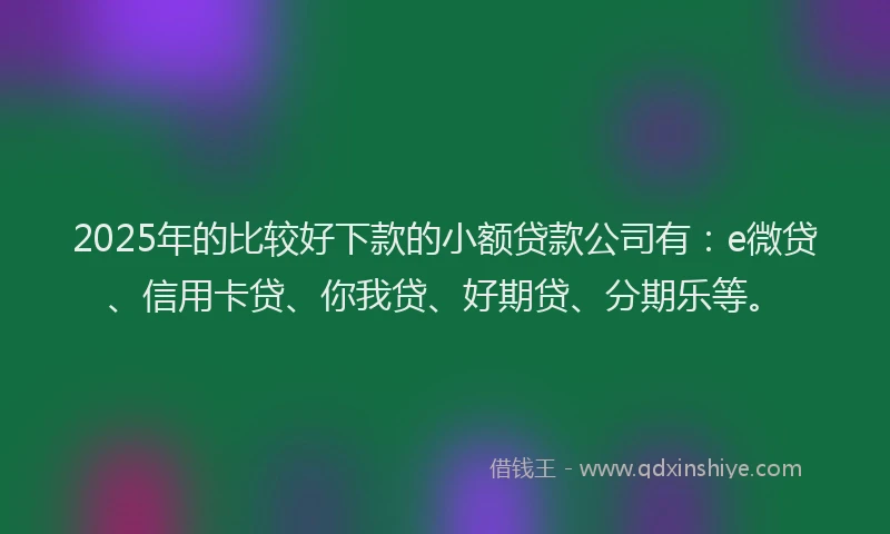 2025年的比较好下款的小额贷款公司有：e微贷、信用卡贷、你我贷、好期贷、分期乐等。