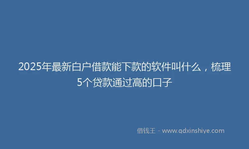 2025年最新白户借款能下款的软件叫什么，梳理5个贷款通过高的口子