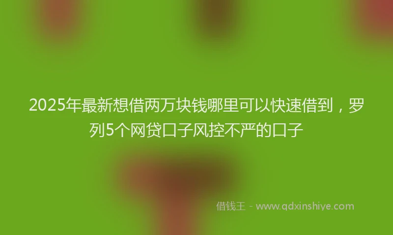 2025年最新想借两万块钱哪里可以快速借到，罗列5个网贷口子风控不严的口子