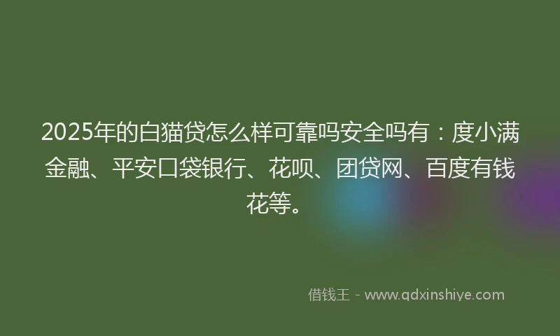 2025年的白猫贷怎么样可靠吗安全吗有：度小满金融、平安口袋银行、花呗、团贷网、百度有钱花等。