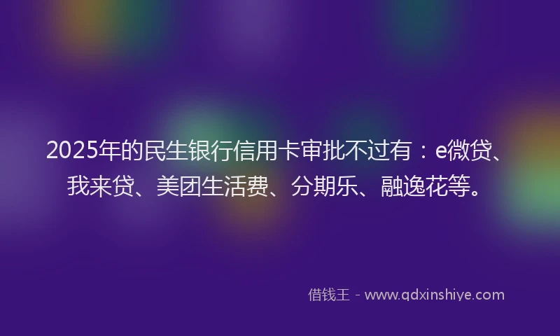 2025年的民生银行信用卡审批不过有：e微贷、我来贷、美团生活费、分期乐、融逸花等。