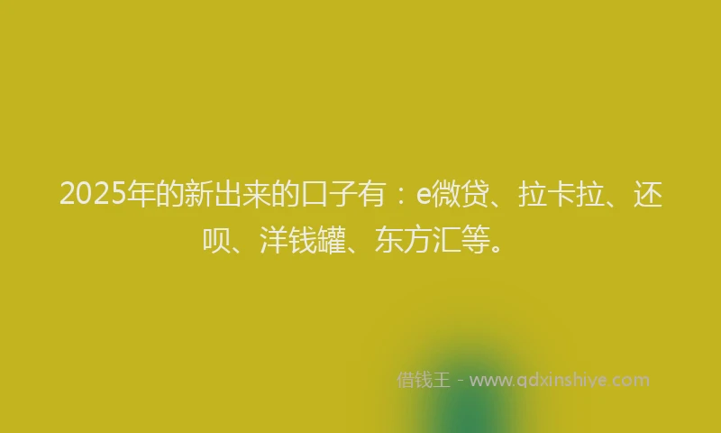 2025年的新出来的口子有：e微贷、拉卡拉、还呗、洋钱罐、东方汇等。