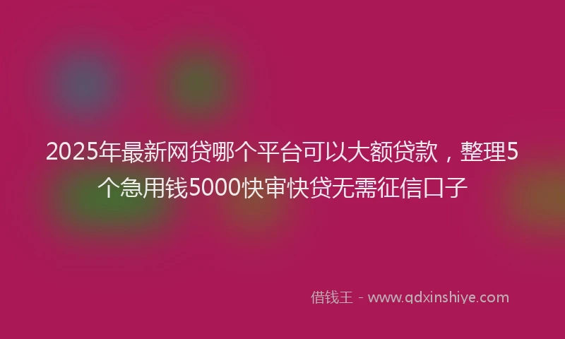 2025年最新网贷哪个平台可以大额贷款，整理5个急用钱5000快审快贷无需征信口子