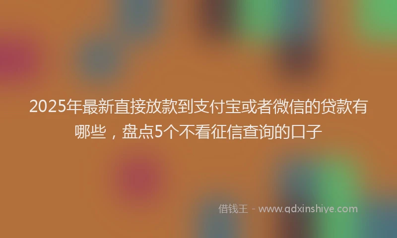 2025年最新直接放款到支付宝或者微信的贷款有哪些，盘点5个不看征信查询的口子