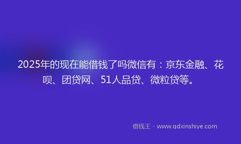 2025年的现在能借钱了吗微信有：京东金融、花呗、团贷网、51人品贷、微粒贷等。