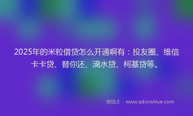 2025年的米粒借贷怎么开通啊有：投友圈、维信卡卡贷、替你还、滴水贷、柯基贷等。
