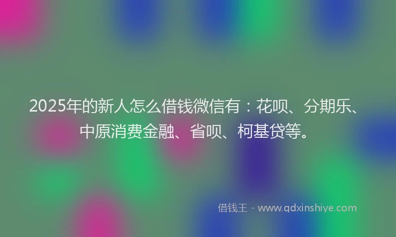 2025年的新人怎么借钱微信有：花呗、分期乐、中原消费金融、省呗、柯基贷等。