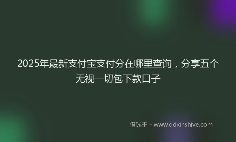 2025年最新支付宝支付分在哪里查询，分享五个无视一切包下款口子