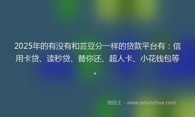 2025年的有没有和芸豆分一样的贷款平台有：信用卡贷、读秒贷、替你还、超人卡、小花钱包等。