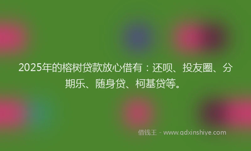 2025年的榕树贷款放心借有：还呗、投友圈、分期乐、随身贷、柯基贷等。