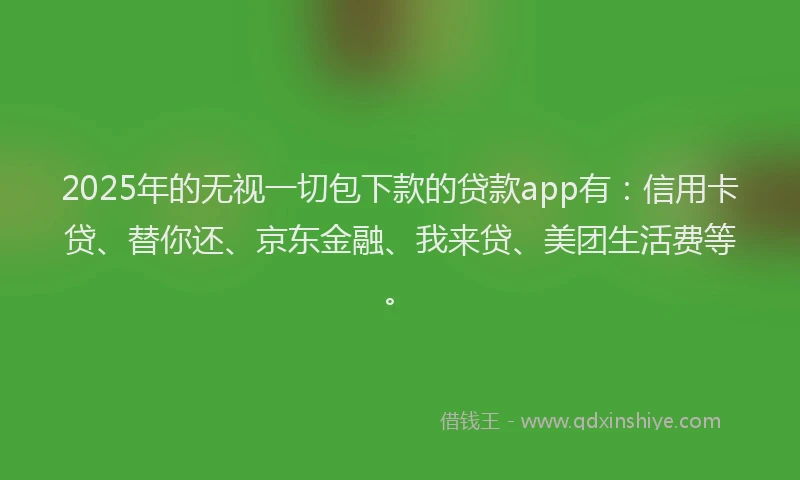 2025年的无视一切包下款的贷款app有：信用卡贷、替你还、京东金融、我来贷、美团生活费等。