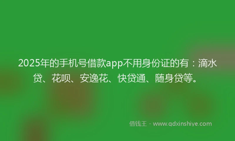 2025年的手机号借款app不用身份证的有：滴水贷、花呗、安逸花、快贷通、随身贷等。