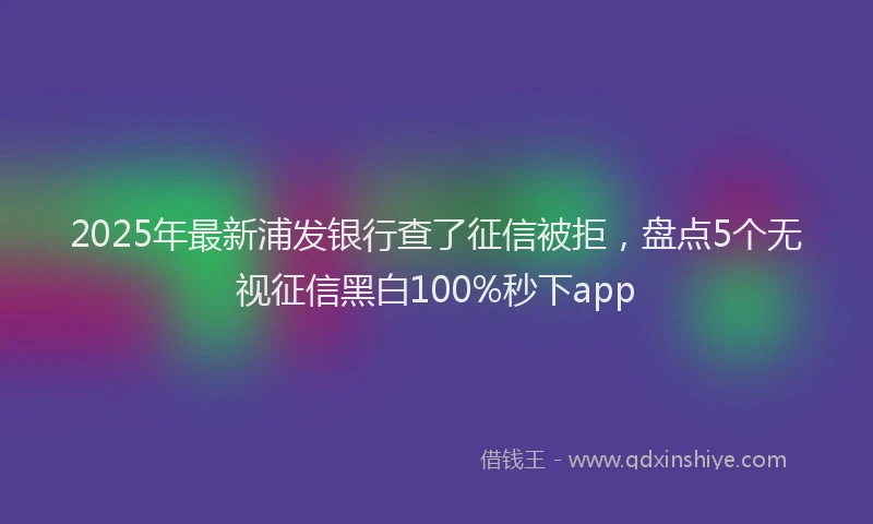 2025年最新浦发银行查了征信被拒，盘点5个无视征信黑白100%秒下app