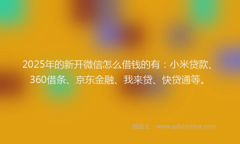 2025年的新开微信怎么借钱的有：小米贷款、360借条、京东金融、我来贷、快贷通等。