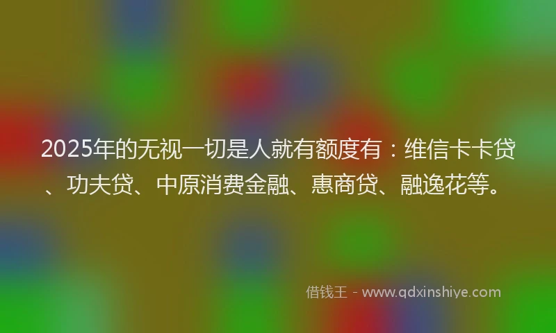 2025年的无视一切是人就有额度有：维信卡卡贷、功夫贷、中原消费金融、惠商贷、融逸花等。