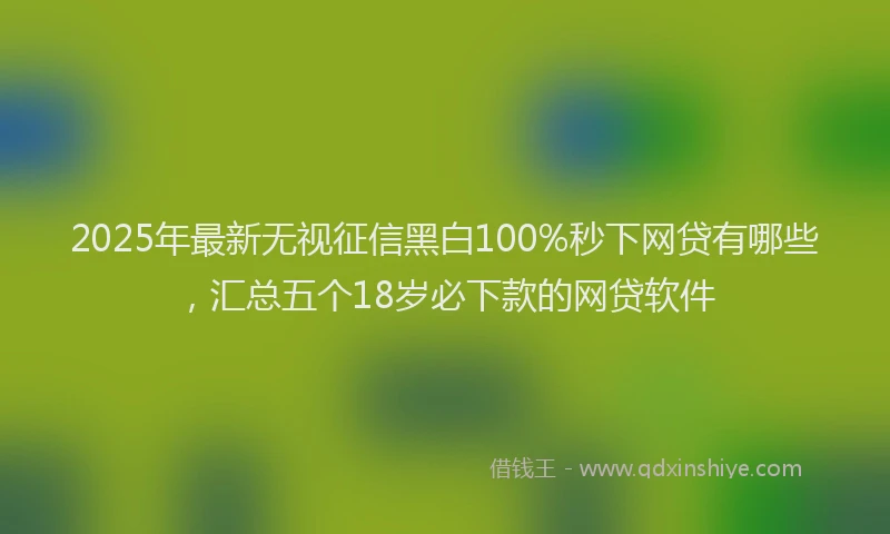 2025年最新无视征信黑白100%秒下网贷有哪些，汇总五个18岁必下款的网贷软件