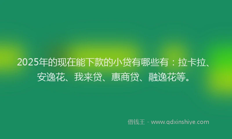 2025年的现在能下款的小贷有哪些有：拉卡拉、安逸花、我来贷、惠商贷、融逸花等。