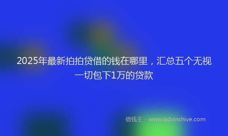 2025年最新拍拍贷借的钱在哪里，汇总五个无视一切包下1万的贷款