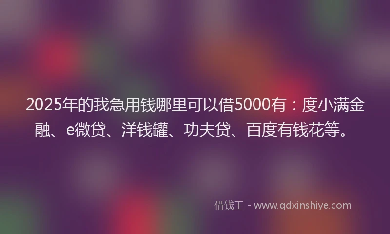 2025年的我急用钱哪里可以借5000有：度小满金融、e微贷、洋钱罐、功夫贷、百度有钱花等。