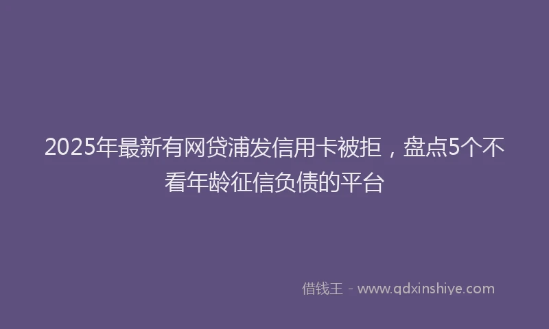 2025年最新有网贷浦发信用卡被拒，盘点5个不看年龄征信负债的平台