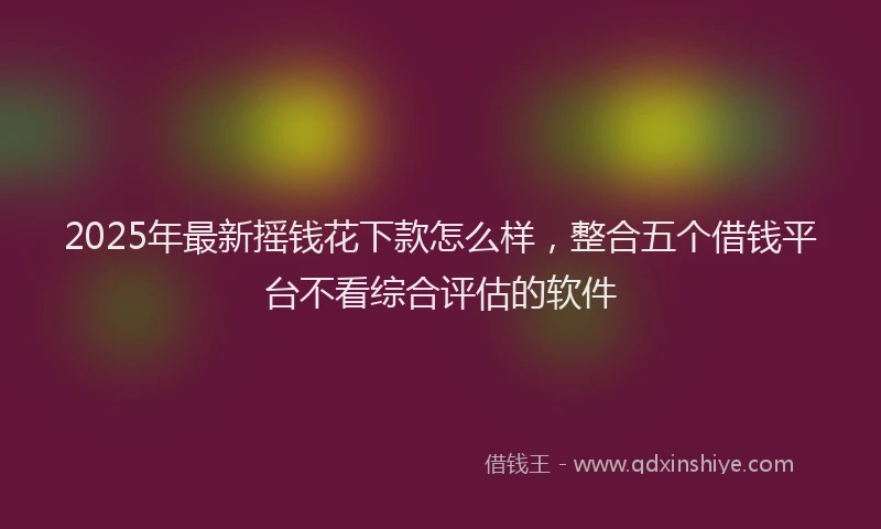 2025年最新摇钱花下款怎么样，整合五个借钱平台不看综合评估的软件
