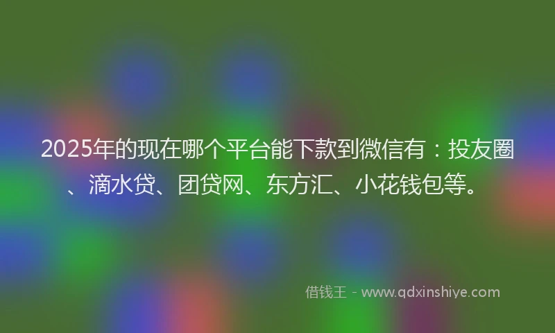 2025年的现在哪个平台能下款到微信有：投友圈、滴水贷、团贷网、东方汇、小花钱包等。