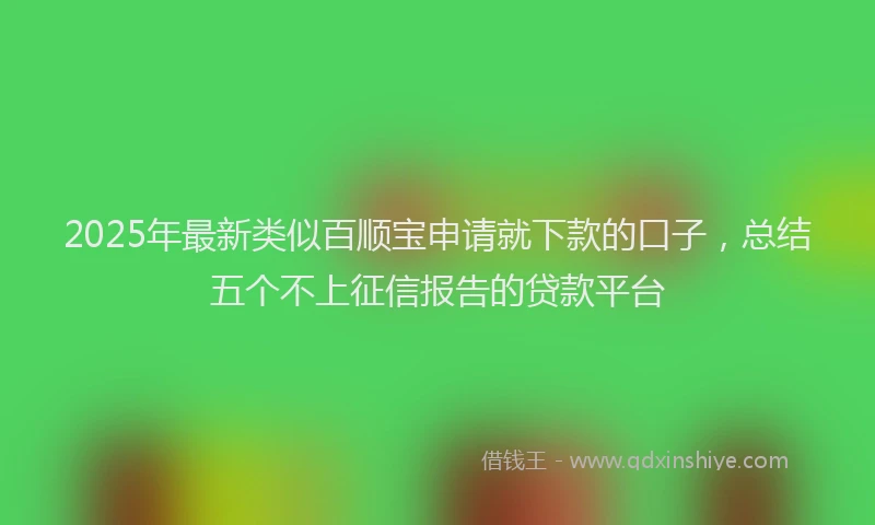 2025年最新类似百顺宝申请就下款的口子，总结五个不上征信报告的贷款平台