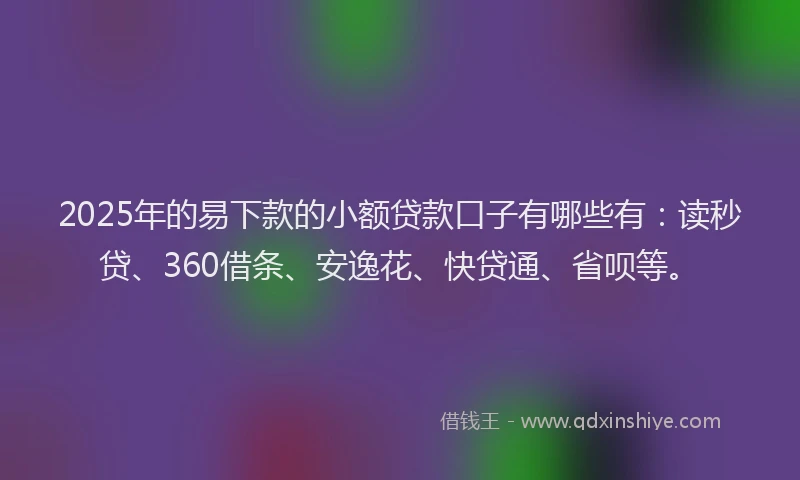 2025年的易下款的小额贷款口子有哪些有：读秒贷、360借条、安逸花、快贷通、省呗等。