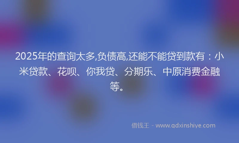 2025年的查询太多,负债高,还能不能贷到款有：小米贷款、花呗、你我贷、分期乐、中原消费金融等。