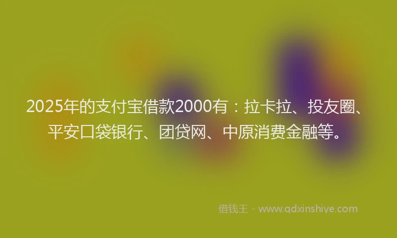 2025年的支付宝借款2000有：拉卡拉、投友圈、平安口袋银行、团贷网、中原消费金融等。
