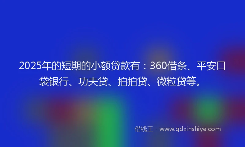 2025年的短期的小额贷款有：360借条、平安口袋银行、功夫贷、拍拍贷、微粒贷等。