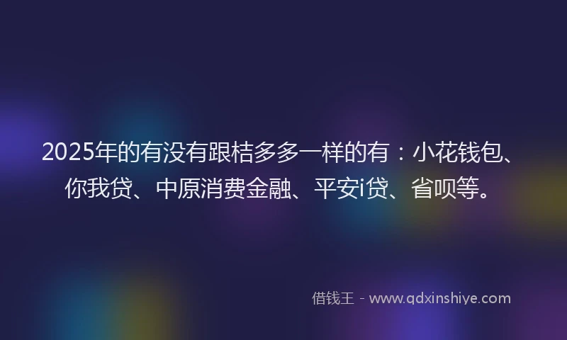 2025年的有没有跟桔多多一样的有：小花钱包、你我贷、中原消费金融、平安i贷、省呗等。