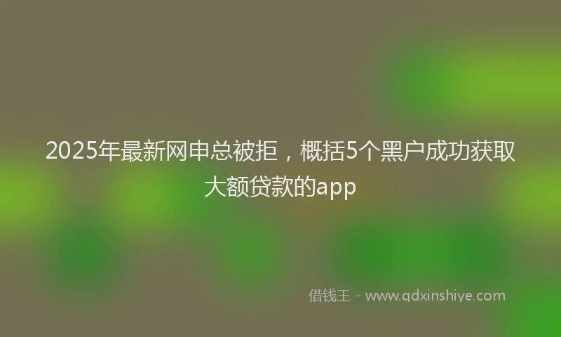 2025年最新网申总被拒，概括5个黑户成功获取大额贷款的app